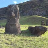 Supervivencia en Rapa Nui