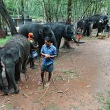 അവധി ദിനം ആനകള്‍ക്കൊപ്പം  |  യാത്രാവാണി|   Elephant Rehabilitation centre at Kappukadu,