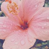 Épisode 152 | Méditation des 5 sens – Renouer avec la présence au quotidien