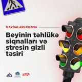 Beyinin təhlükə siqnalları və stresin gizli təsiri  I Qaydaları pozma