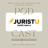 Juristu gids voor incasso en slim financieel herstel