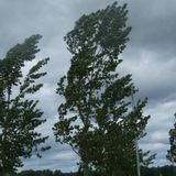 Vento forte e maltempo in arrivo: chiusi parchi, giardini e viali fino a domani