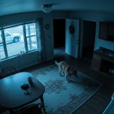 Vanished into the Ozarks: The Walter Fowler Mystery