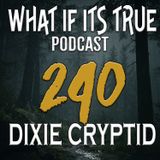 Archive 240 Bigfoot Stories