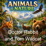 Doctor Rabbit and Tom Wildcat - Thomas Clark Hinkle