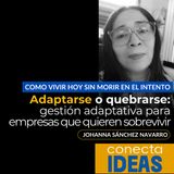 Adaptarse o quebrarse: gestión adaptativa para empresas que desean sobrevivir / JOHANNA SÁNCHEZ NAVARRO