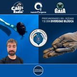 NUESTRO OXÍGENO Profundidades del océano y su gran diversidad biológica - Fotógrafo David Jara Bogunyá