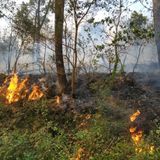 Enlace bit: Predifire
