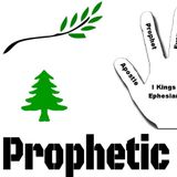 Prophetic 411 weekend!