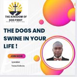 THE DOGS AND SWINE IN YOUR LIFE!