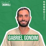 Como os probióticos melhoram a qualidade dos ovos na produção caipira? #449