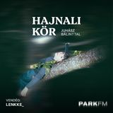 Lenkke_: Hiszek abban, amit szeretnék közölni és hiszek a módjában is | Park FM – Hajnali Kör
