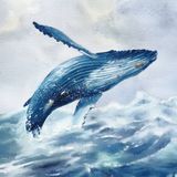 The Weekly Inspiration - The Blue Whale