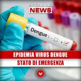 Epidemia Virus Dengue: Stato Di Emergenza!
