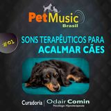 #01 Música para Acalmar seu Cão | Sons Terapêuticos