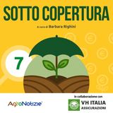 Prima del patatrac