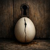 Fitcher's Bird - Egg Splits Keyhole