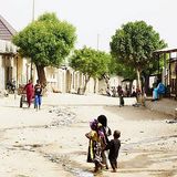 Immersion dans la région de Niamey à la découverte d’une pratique ancestrale(Les Echos NKL)