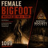 Female Bigfoot Watched His Family for a Year | Washington | Archives