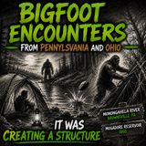 BIGFOOT SURROUNDED OUR CAMPSITE ON THE MONONGAHELA RIVER IN PENNSYLVANIA | CREATING TREE STRUCTURES