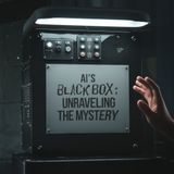 Update What is the AI Black Box?