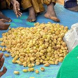 Les rites dans la célébration des mariages chez les Zarma-Songhaïs du Niger (Le Niger sur Kalangou)
