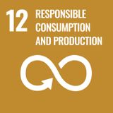 12. Consumo e produzioni responsabil