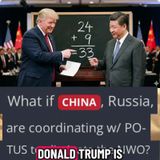 Xi X DJT= New Money!? (Ai, NFT, Bitcoin OH MY!)