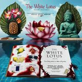 TV-Show Review: The White Lotus, Season 1-3 (USA 2021-2025), created by Mike White