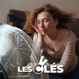 Vagues de chaleur (3/3) : faire face à la surchauffe des logements et des villes
