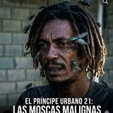 Haitiano revela qué pudo haberle pasado a la madre y su hijo en Piantini por una mosca en la comida