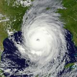 Hurricane Harvey: Charity vs. Welfare +