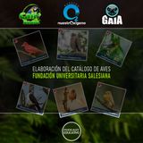 NUESTRO OXÍGENO Elaboración del catálogo de aves de la fundación universitaria salesiana, guía de avifauna–Dr. Geven Rodríguez