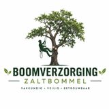 Het belang van bodemanalyse voor gezonde bomen