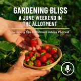🎧 Gardening Bliss: A June Weekend in the Allotment! | Gardening Tips & Allotment Advice Podcast