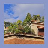 #226 Come ridurre problemi in giardino: meno prodotti, più metodo