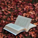 Episode 1569 - Jarvis Kingston Texans Chargers NFL Ravens Packers Influenza Tunisia Nigeria ISIS Football Bowl Games Taiwan Earthquake Nauru