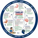 EP-298|GHRELIN: The Hunger Hormone — ক্ষুধা লাগার পিছনে কে?| wellness podcast