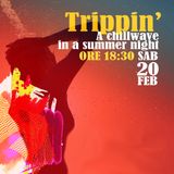 Trippin' #22 – A chillwave in a summer night - 20/02/2021