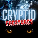Cryptid Encounters in Ireland! Ep.67