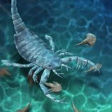 Las Formas de la Vida: 4- Los Conquistadores #ciencia #biologia #documental #podcast
