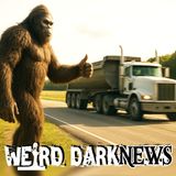 He Drove a Truck for 50 Years — But Nothing Prepared Him for This Bigfoot Sighting