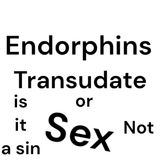 Is Sex really a sin or not