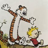 2.31.- Calvin & Hobbes parte 2