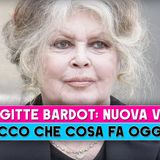 Brigitte Bardot, Nuova Vita: Ecco Che Cosa Fa Oggi!