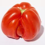 Il Pomodoro: Storia, Benefici e Consigli per Consumarlo al Meglio