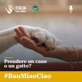 Cosa comporta prendere un cane o un gatto?