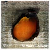 The Murky Reservoir