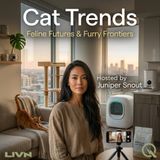 Cat Trends - Discover what's pouncing into pop culture with Juniper Snout