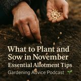 🎧 What to Plant and Sow in November: Essential Allotment Tips | Gardening Advice Podcast